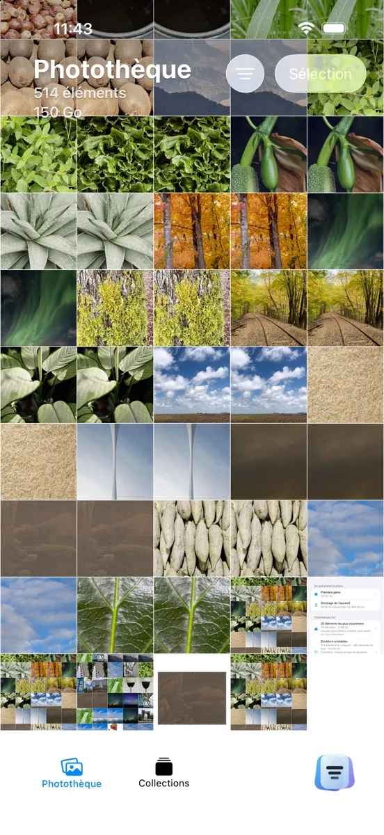 Tasnif affiche l'espace de la photothèque et les premières actions.